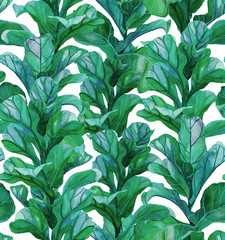  Tropical seamless pattern with succulents, tropical leaves. Botanical background