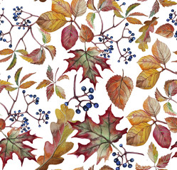 Autumn leaves with wild grapes, background. Autumn seamless watercolor pattern. fall