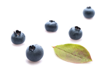 Heidelbeeren blau und günes Blatt