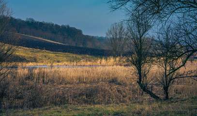 River in early spring