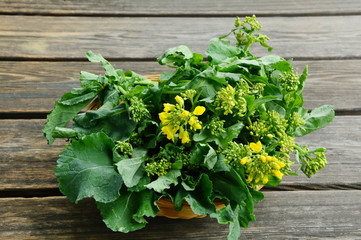 Fresh Rapeseed leaves and flowers in basket for cooking like a  broccoli and green vegetable.