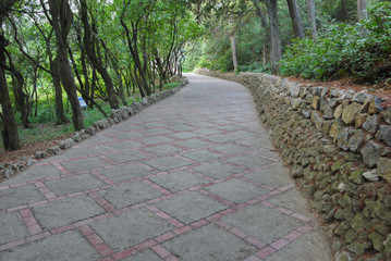 an excellent path in the park lined with tiles with trees on one side and a low wall of stone with the opposite