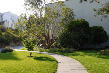 A path running between a green lawn with a tree with wide branches growing among the stones on the side of it near the building wall.