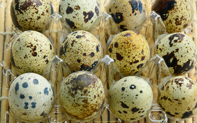 There is an impressively high level of vitamin A found in quail eggs.
Quail eggs in plastic egg...