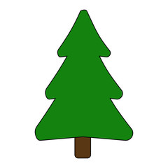 Tannenbaum Weihnachtsbaum 
