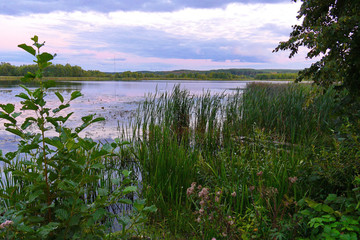 A picturesque landscape with a view of the lake and greenery on either side of it