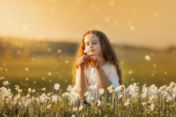 Curly baby breathing aroma white wildflower on meadow