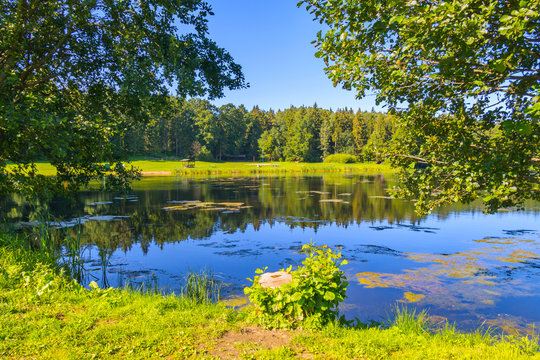 a lake among the green forest with gazebos to rest around the banks © adamchuk_leo
