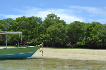 Fototapeta na wymiar Brazil boat in mangrove