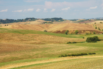 Fototapeta na wymiar valley in tuscany
