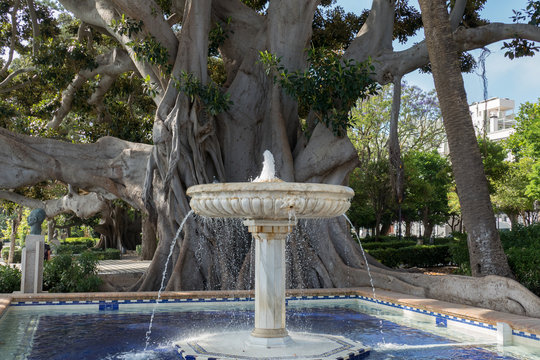 Cadiz