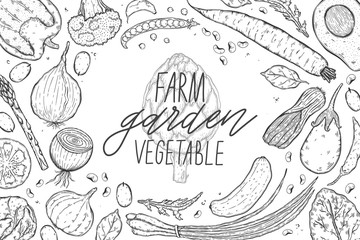 Vector big set of vegetables in a realistic sketch style. Healthy food, natural product, vegetable farm, vegan food, sports nutrition.