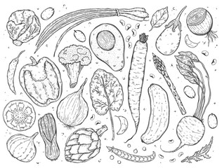 Vector big set of vegetables in a realistic sketch style monochrome. Healthy food, natural product, vegetable farm, vegan food, sports nutrition.