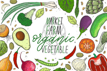 Vector big set of vegetables in a realistic sketch style. Healthy food, natural product, vegetable farm, vegan food, sports nutrition.