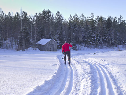 Man doing Nordic cross-country skiing on a classical style track. Beautiful sunny day for winter sports.