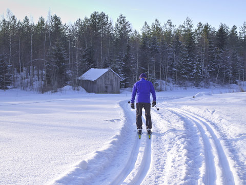Man doing Nordic cross-country skiing on a classical style track. Beautiful sunny day for winter sports.