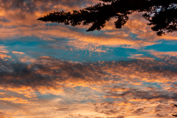 Fototapeta na wymiar Sunset in San Francisco
