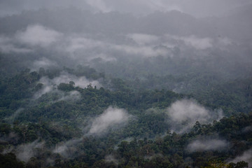 Fototapeta na wymiar Fog down the hill