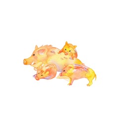 猪、うり坊3頭