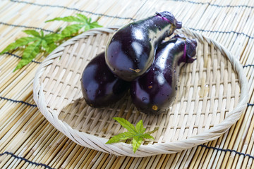 採れたての野菜 なす