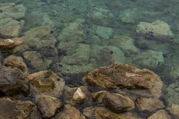 sea waterfront surface and stones near and under water nature concept with empty space for copy or text