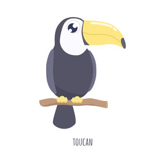 Cute toucan vector illustration. flat design.