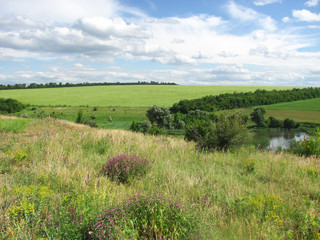 csenic view of counrtyside, valley and a field