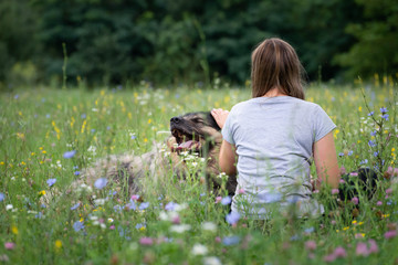 Girl and her big dog on the meadow