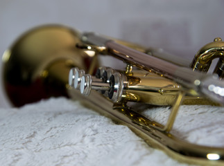 Trumpet, brass on the white furry surface