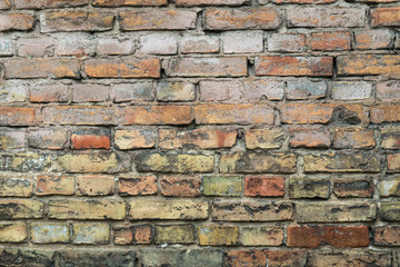 Obraz premium Background of the old colorful bricks wall 