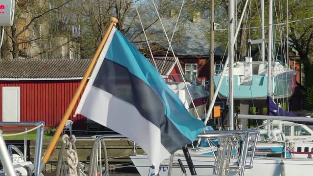 18419_An_Estonian_flag_on_the_small_pole_waving_on_the_wind.mp4