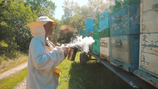bee-maker beekeeper lifestyle man working of a smoke pipe beeper smoker device for repelling evil bees. slow motion video. apiary. beekeeping concept bee agriculture