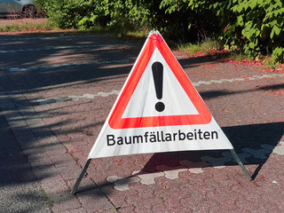 Baumfällarbeiten 2