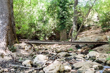 Wooden  bridge over the forest stream Amud in the north of Israel