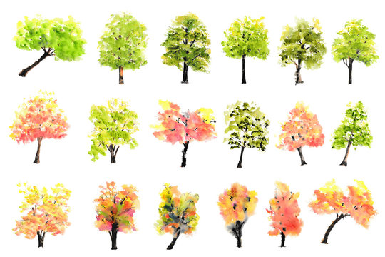 Collection of watercolor trees on white background, hand drawn, tree art