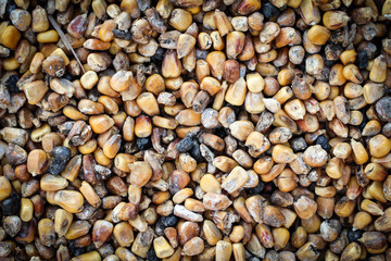 Maiskörner, Mais, Textur