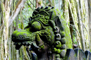 Dragon Head in Ubud Stone Forest - Bali - Indonesia
