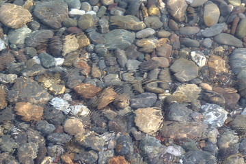 pebble beach, texture
