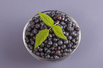 Healthy eating, food, dieting and vegetarian concept - fresh, ripe blueberries in bowl, wild berry, closeup. Fresh blueberry on gray background