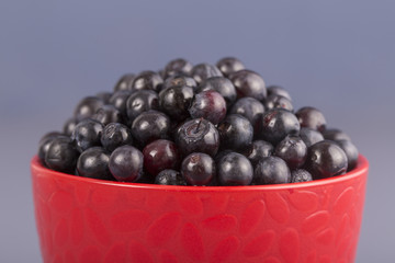 Healthy eating, food, dieting and vegetarian concept - fresh, ripe blueberries in bowl, wild berry, closeup. Fresh blueberry on gray background