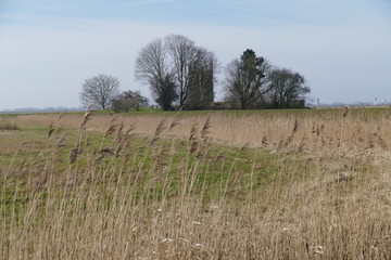 Obraz premium landschaft