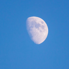 Half moon against a blue sky at sunset