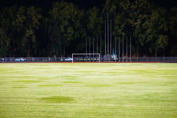 Obraz premium Beautiful green grass ground in a stadium.