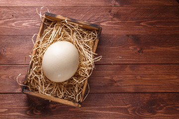 Ostrich egg on straw in wooden box, place for wording, dark background
