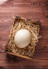 Ostrich egg on straw in wooden box, place for wording, dark background