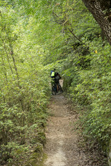 Fototapeta premium bosco 2