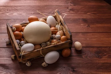 Gordijnen Huge ostrich egg surrounded with small eggs, place for wording © fazeful