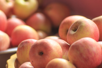 Red apples on the ground,Fresh apples