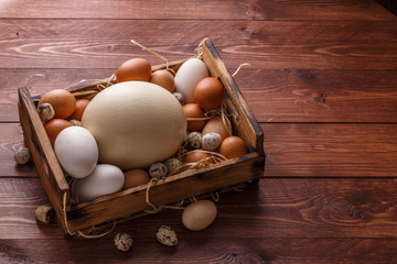 Eggs from different birds, place for wording
