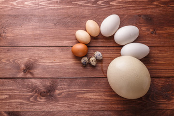 Egg of different birds on a farm